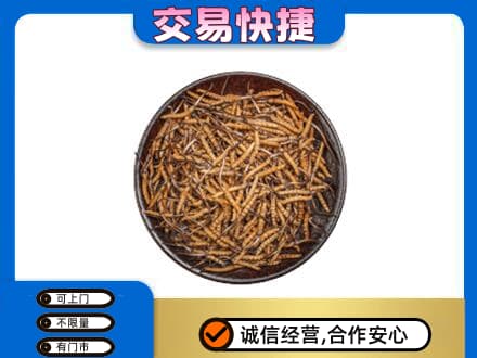 汕尾礼品回收虫草.jpg